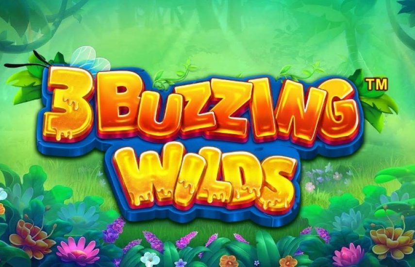 3 Buzzing Wilds Slot