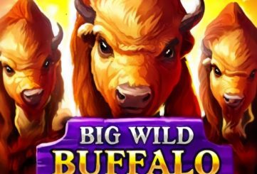 Big Wild Buffalo Slot
