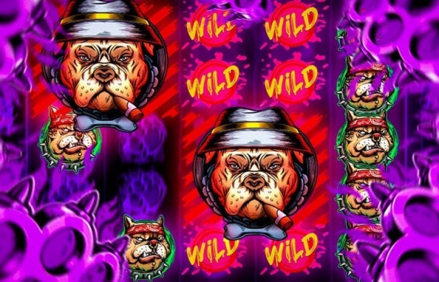 The Big Dawgs Slot
