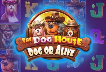 The Dog House: Dog or Alive Slot