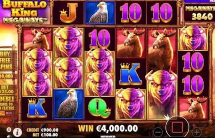 Buffalo King Slot